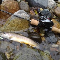 渓流で初のＷヒット！